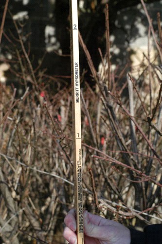 Hypsometer Tree W.V. Envirothon - Forestrey