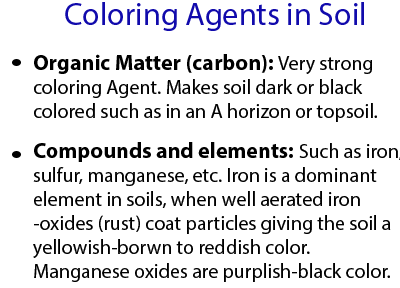 Coloring Agents