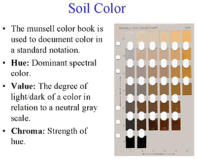 Soil Color